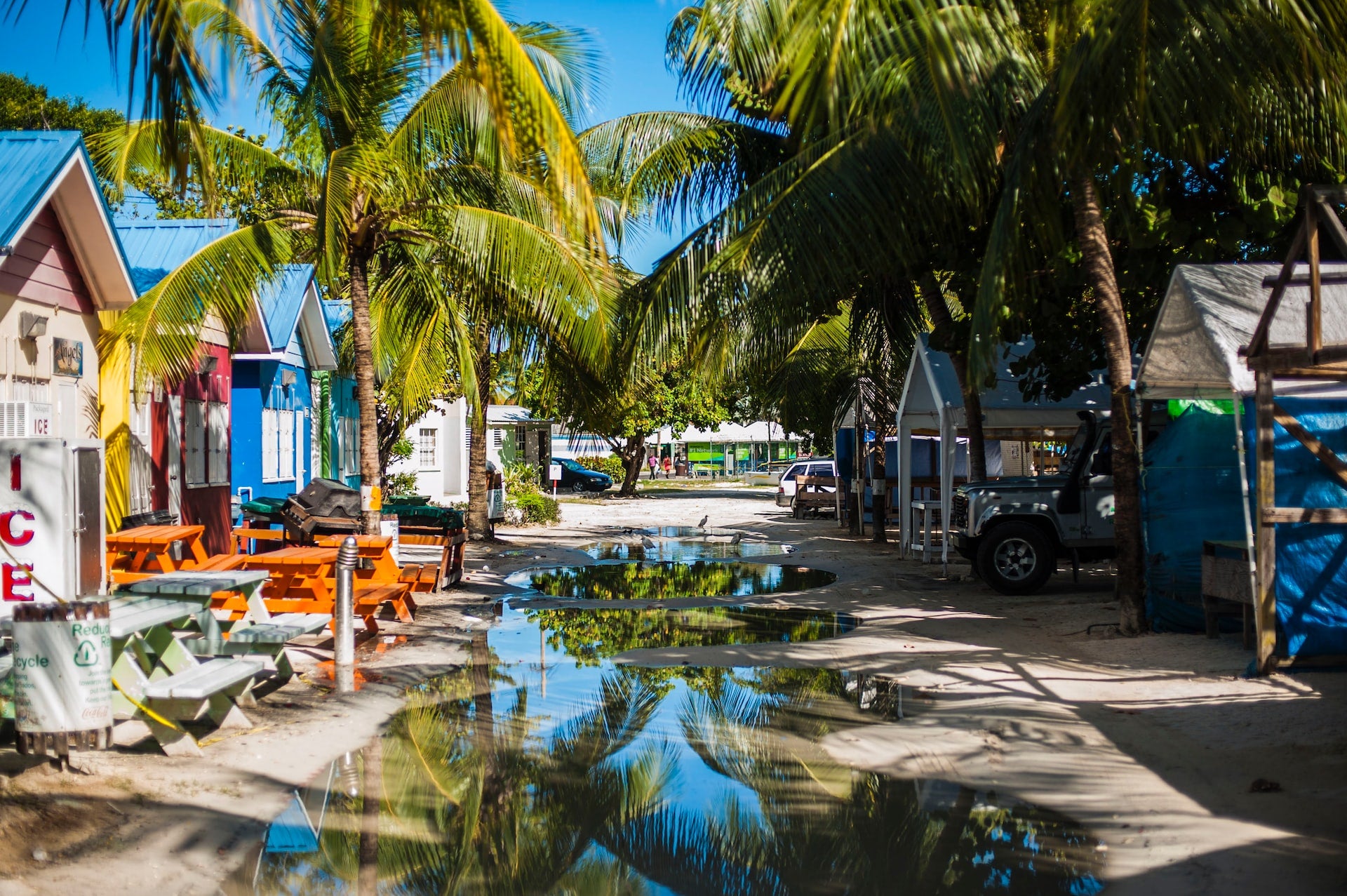Rum aus Barbados – deshalb ist dieser Rum besonders traditionsreich un ...